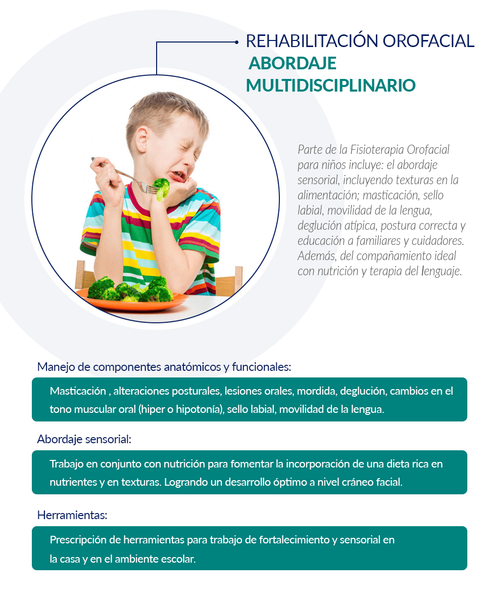 Rehabilitacion orofacial abordaje multidiciplinario