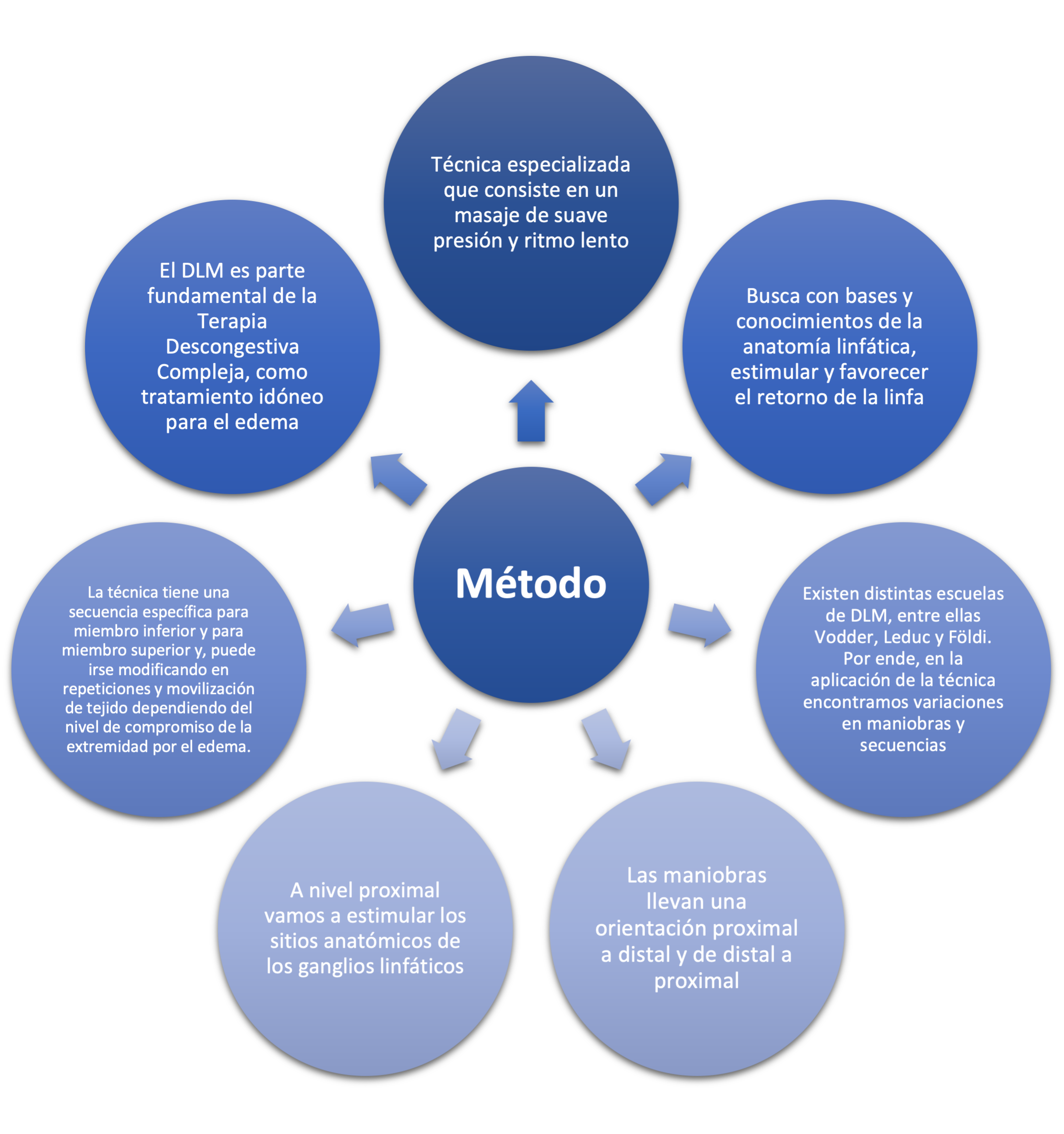 infografico 1-1